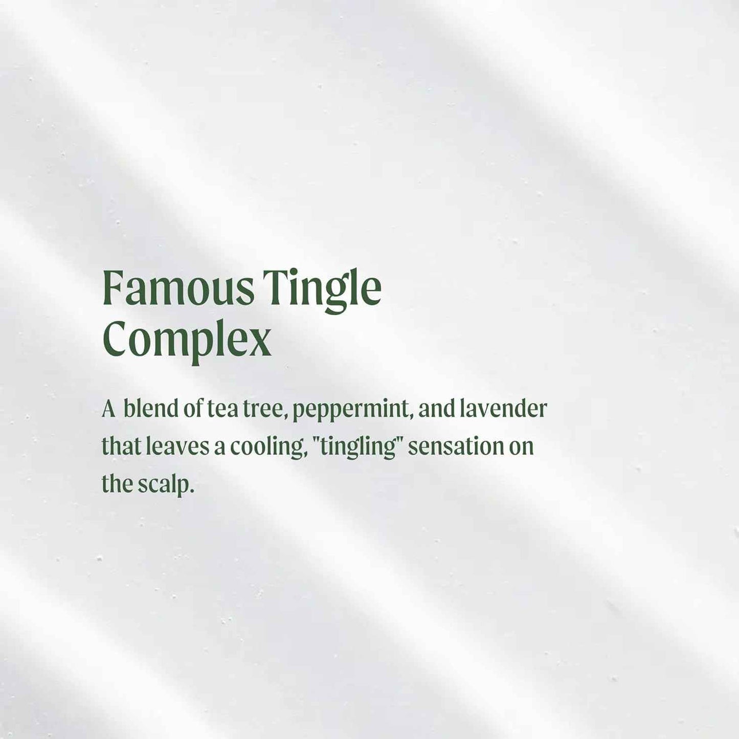 Tea Tree Special Conditioner Aluminum Bottle, Detangles, Smooths + Softens, For All Hair Types, 16.9 fl. oz