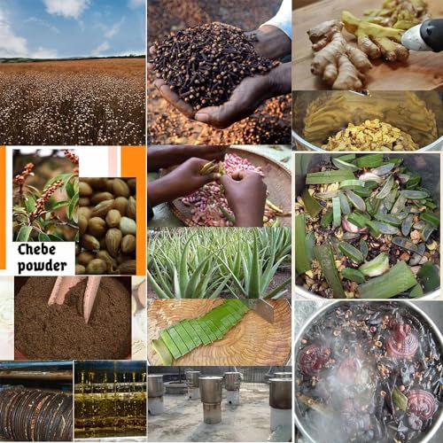 West African Scalp Awaken Oil - Herbal Blend for Kinky & Coily Hair