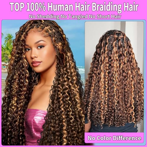 Aailvmey Human Braiding Hair 120g Boho Curly Deep Wave 22 Inch #4/27 Bundle