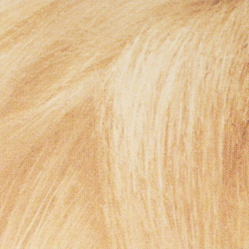 L'Oreal Paris Super Blonde Creme Lightening Kit