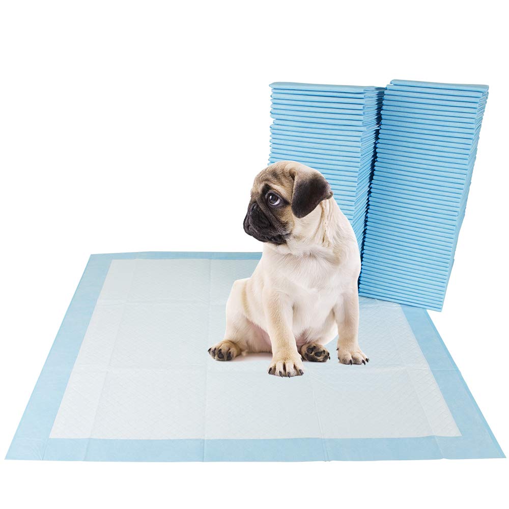 BV Puppy Pads Leak-Proof 600 Count 22"x 22" | Pee Pads for Dogs Quick Absorb 6-Layer- Dog Pee Pads- Dog Pads 600 Pack- Potty Pads for Dogs- Puppy Pee Pads, Pee Pad Training Pads for Dogs, Pet Pee Pads