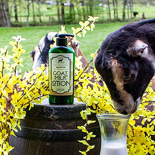 Goat Milk and Shea Butter Lotion 8 Oz (Unscented)