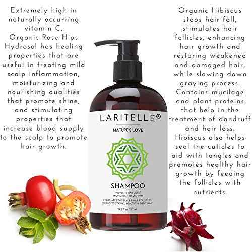 Laritelle Organic Hair Growth Set | Shampoo 17 oz + Conditioner 16 oz + Hair Loss Treatment 4 oz | Organic Quinoa + Keratin + Rosemary, Ginger & Grapefruit | NO GMO, SLS, Gluten, Parabens, Phthalates