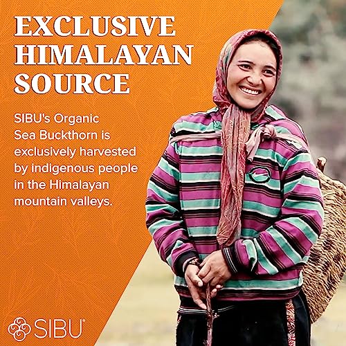 sibu Sea Buckthorn Nourishing Face Cream 1oz (2-Pack), Lightweight and Hydrating Face Cream – Amazing for Sensitive Skin, Breakouts, & Irritation