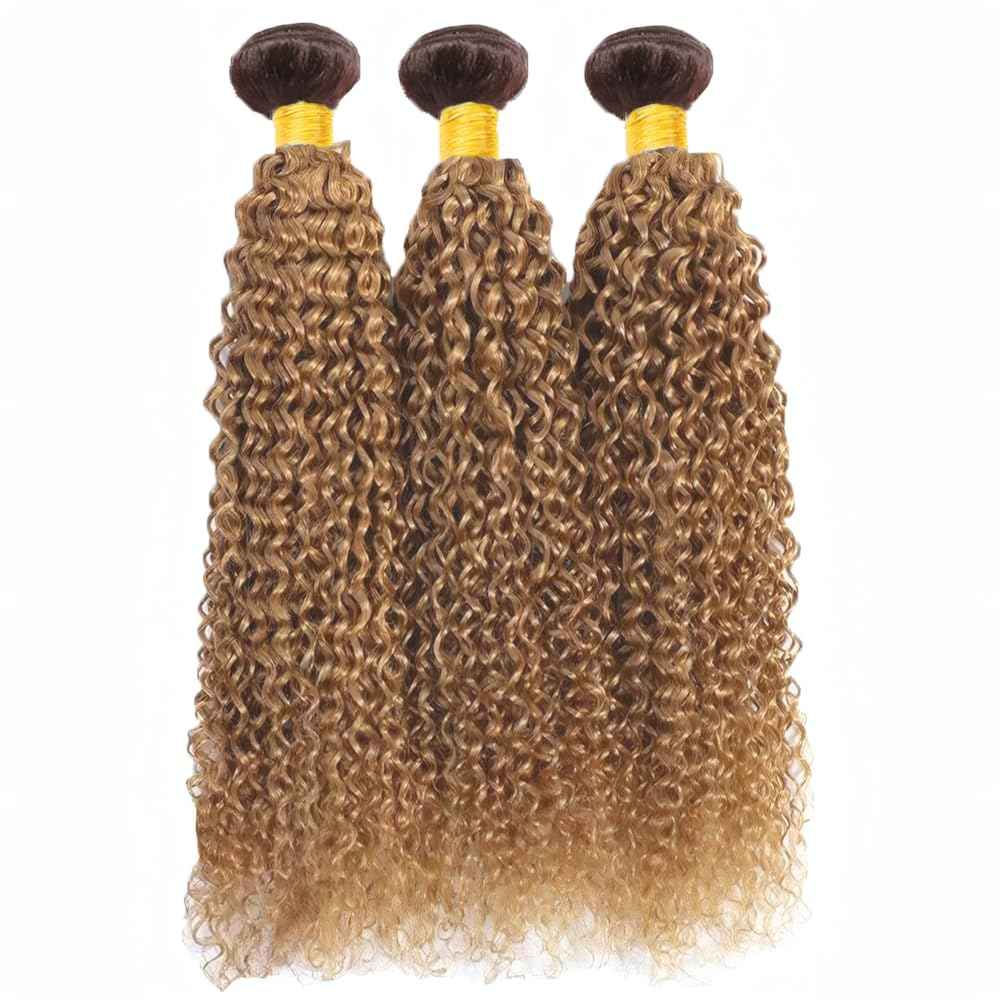LOIUMGUU T4/27 Honey Blonde Highlight Bundles Ombre Brown Kinky Curly Human Hair 3 Bundles 10 12 14 Inch Brazilian Virgin Human Hair Dark Brown to Honey Blonde for Women Hair Extension