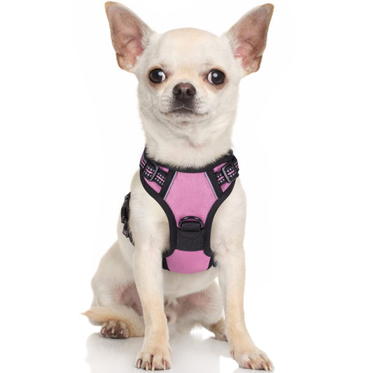 rabbitgoo Dog Harness, No-Pull Pet Harness with 2 Leash Clips, Adjustable Soft Padded Dog Vest, Reflective No-Choke Pet Oxford Vest with Easy Control Handle for Small Dogs, Pink, XS