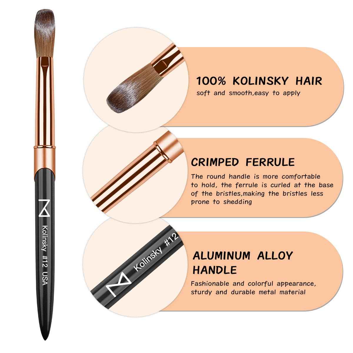 M – Regal 100% Kolinsky Acrylic Nail Brush | Professional Acrylic Nail Sculpting & Application Brush | Premium Nail Art Tool for Nail Technicians & Artists (#12)