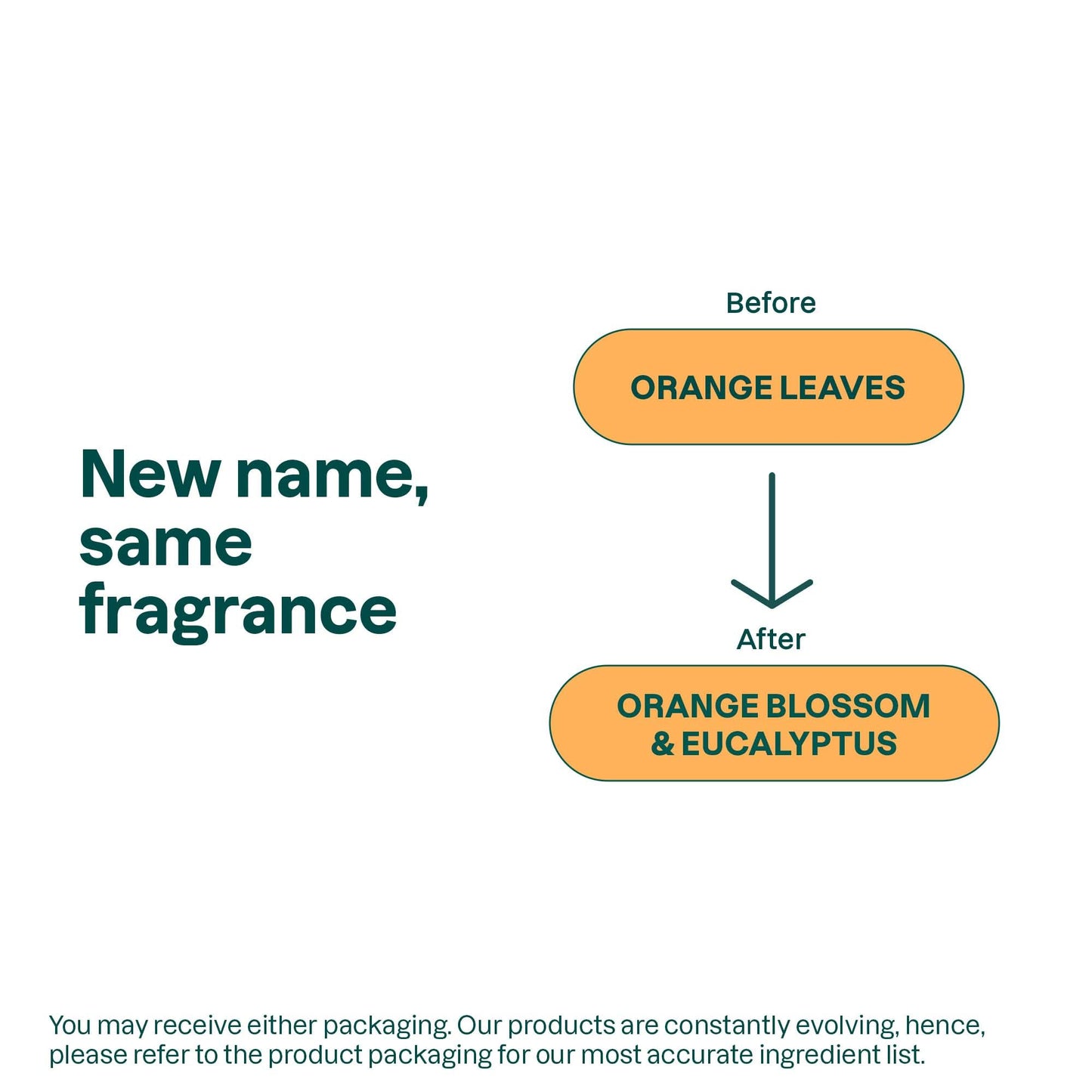 ATTITUDE Body Wash, EWG Verified Shower Gel, Dermatologically Tested, Plant and Mineral-Based, Vegan Personal Care Products, Orange Blossom & Eucalyptus, Bulk Refill, 67.6 Fl Oz