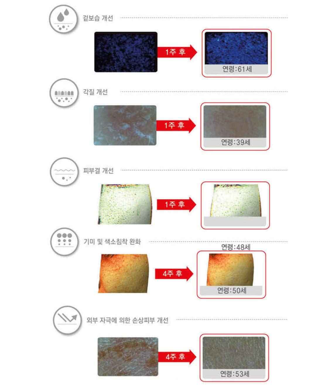 DONGKOOK CENTELLIAN 24 Micro Serum 50ml/1.69fl oz with TECA Tech. K-beauty#