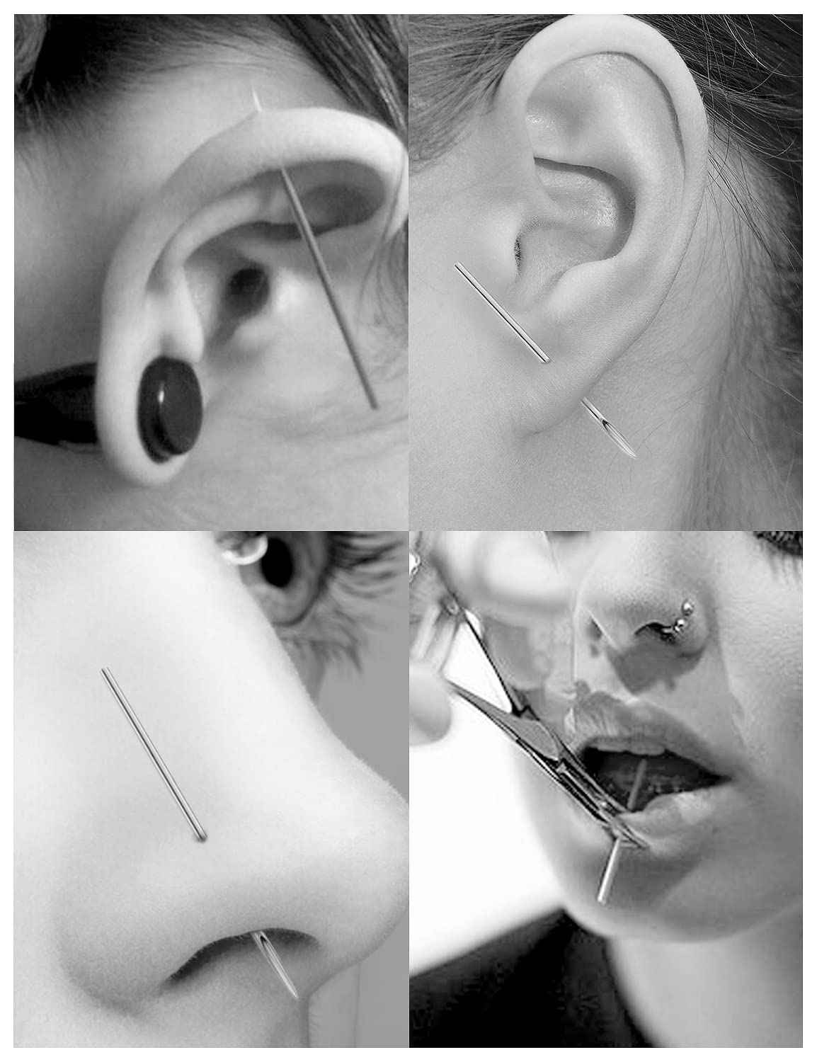 Vsnnsns 10G Piercing Needles 316L Surgical Steel Piercing Needles for Nose Septum Lip Tongue Belly Eyebrow Rings Cartilage Tragus Helix Rook Conch Daith Earrigns Piercing Needles 10 Gauge