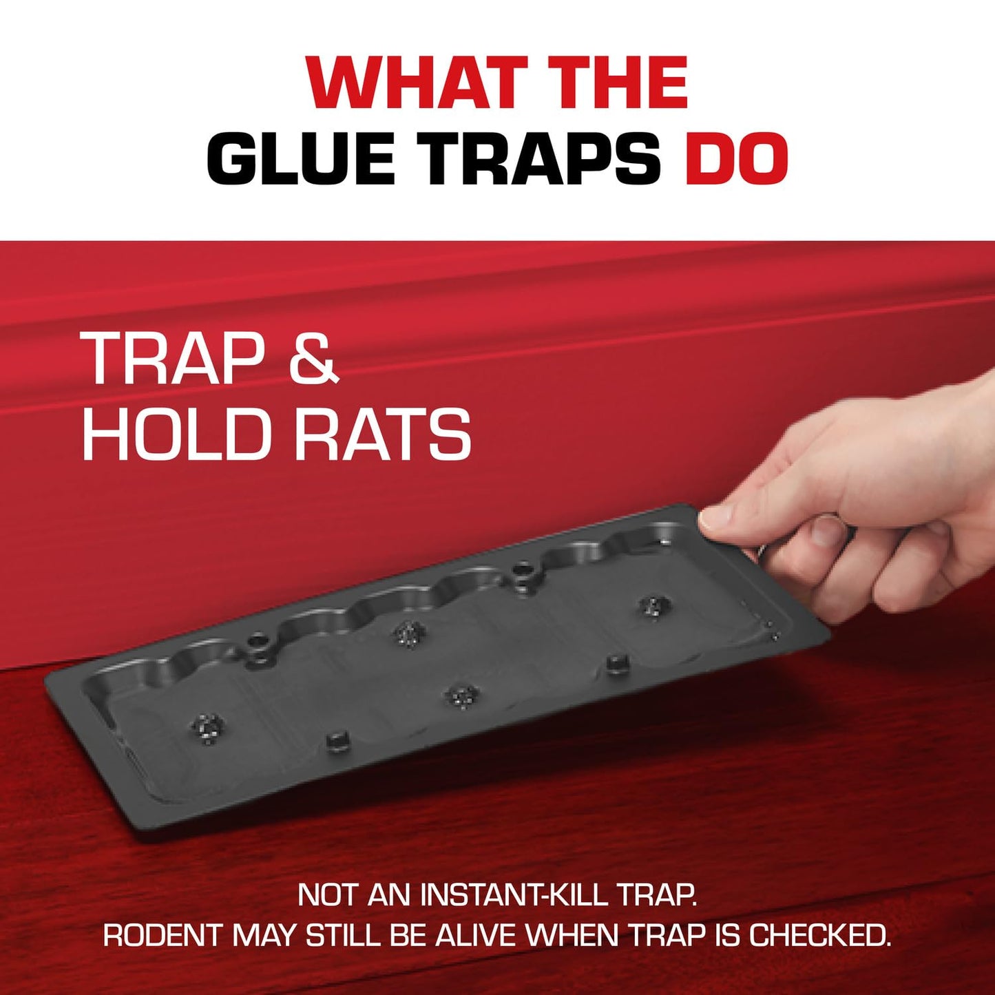 Tomcat Rat Trap with Immediate Grip Glue for Rats, Mice, Snakes, Cockroaches, Spiders, and Scorpions, Ready-To-Use, 2 Traps