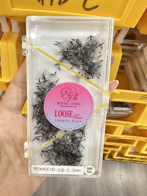 ROSE GIRL Loose Promade Fans - Natural Look Handmade Volume Eyelashes From 3D To 16D - C CC D DD Curl - False Lashes Extensions - Thickness 0.03~0.1 mm - 8~20 mm Length (14D-0.05-CC (14mm))