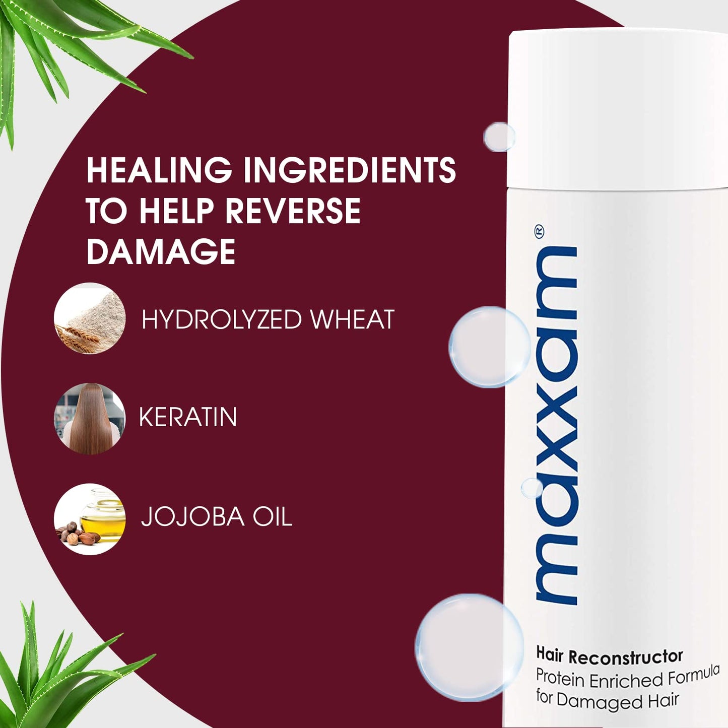 Maxxam Reconstructor Deep Hair Conditioner for Damage Control, Protein Enriched Hair Treatment for Damaged Hair, 10 Fl Oz