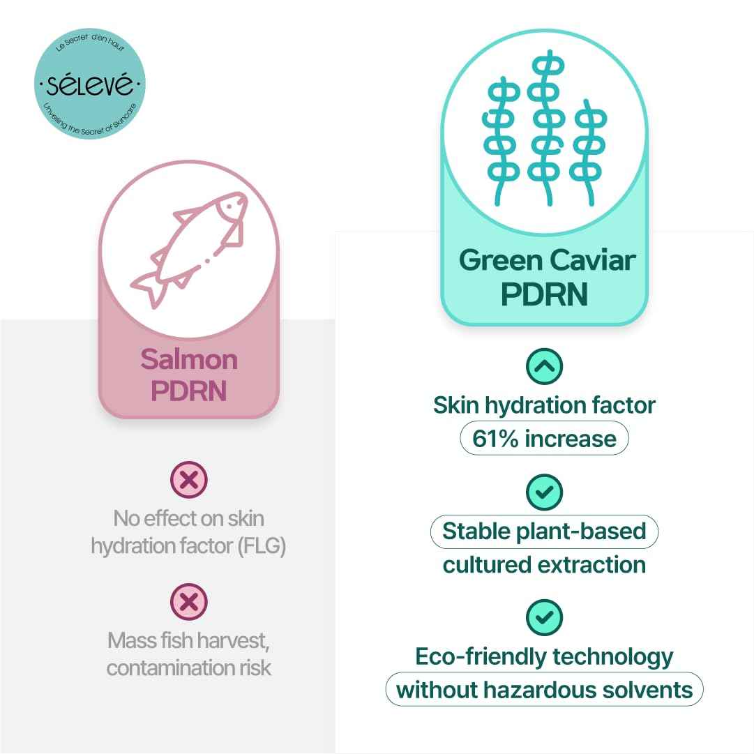 SELEVE Glow Caviar Bubble Toner – Hydrating & Glow Face Toner with Green Caviar Liposomal PDRN, Niacinamide, Panthenol & Ferulic Acid – for Sensitive & Dry Skin, Korean Skin Care (3.38 fl.oz / 100ml)