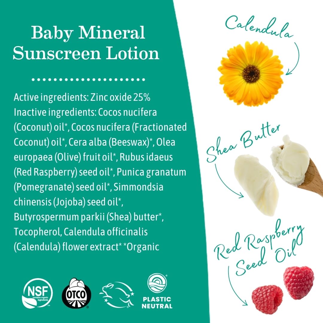 Earth Mama Baby Face Mineral Sunscreen Stick & Lotion Set, SPF 40 | Reef Safe, Non-Nano Zinc, Contains Organic Cocoa Butter, Shea Butter, Aloe & Calendula | Babies, Kids & Family