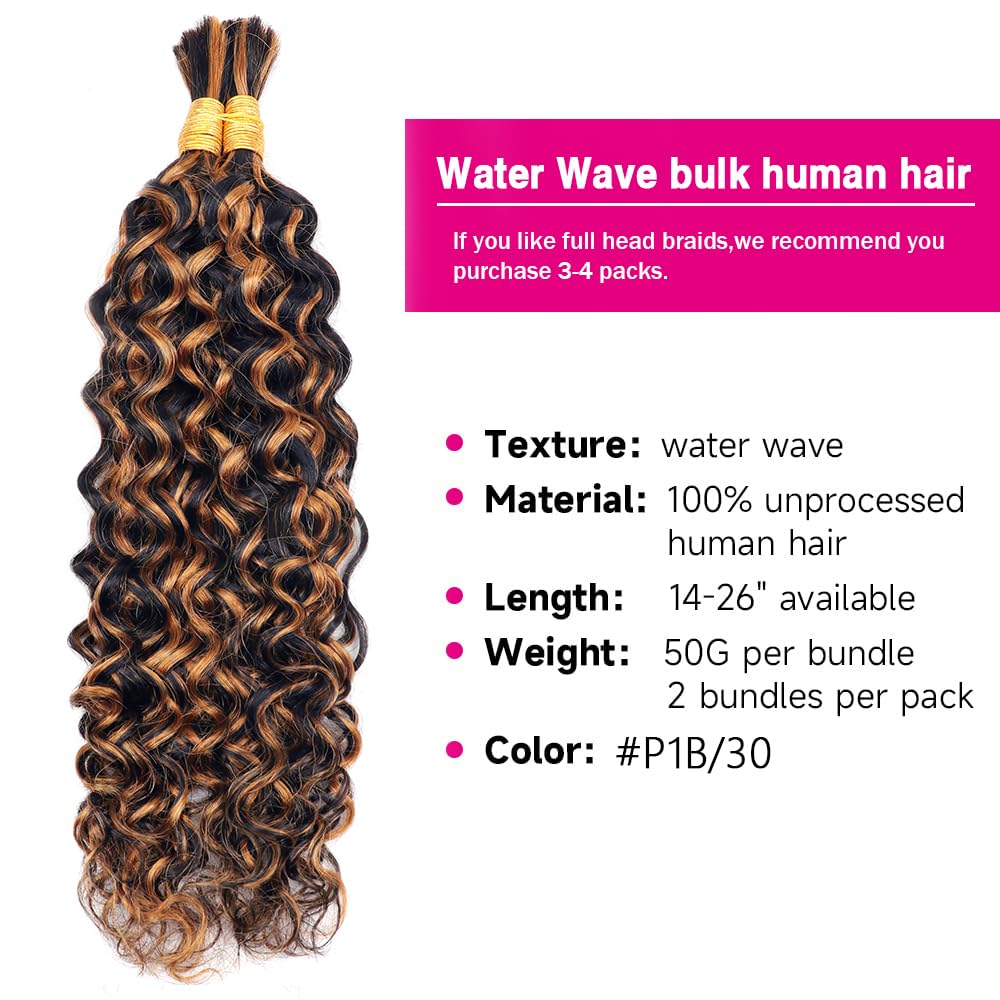 Cecycocy water Wave Bulk Human Hair Two Bundles Micro Braiding Human Hair 100g No Weft For Braiding #P1B/30 100% Unprocessed Brazilian Virgin Human Hair Extensions (16inch, P1B/30 water)