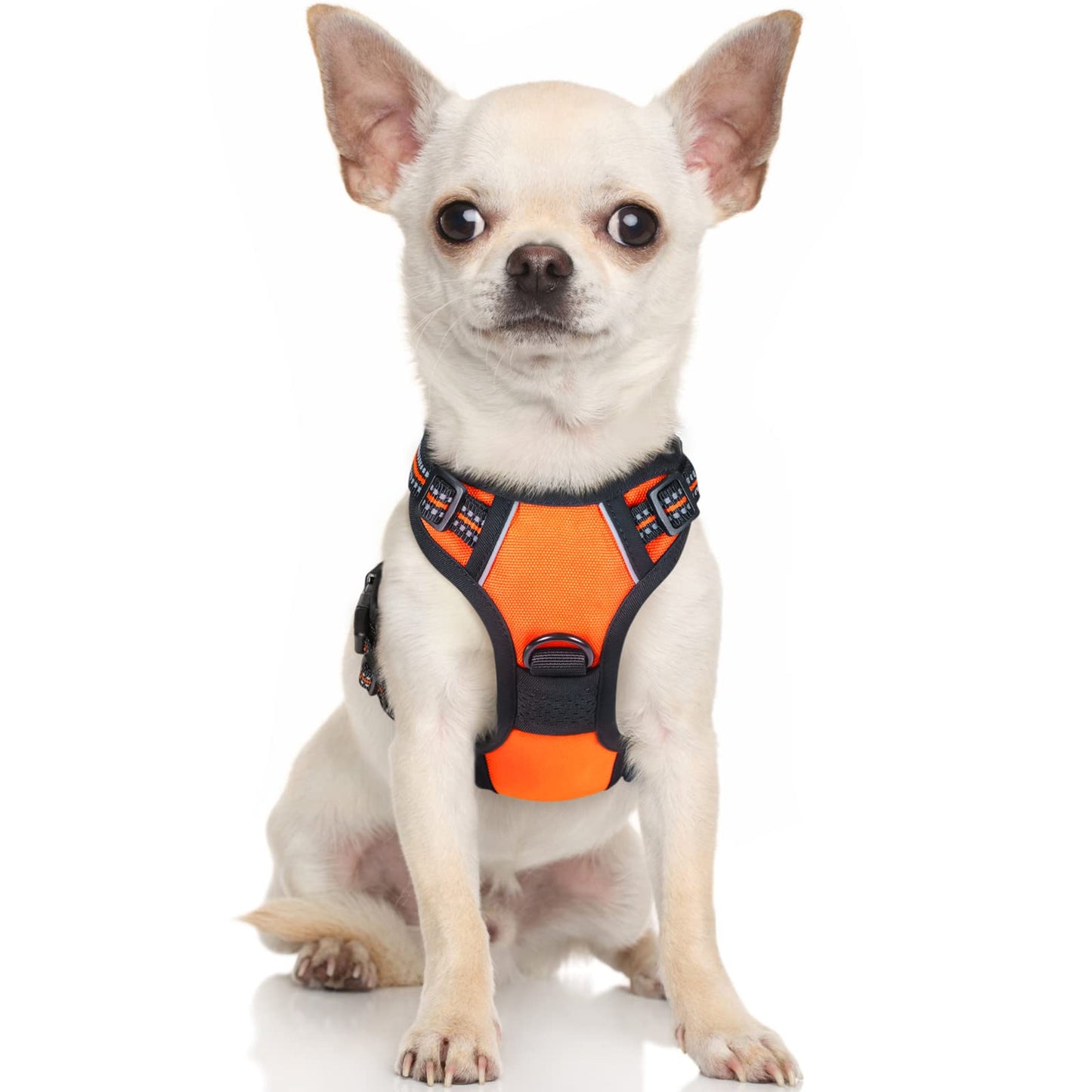 rabbitgoo Dog Harness, No-Pull Pet Harness with 2 Leash Clips, Adjustable Soft Padded Dog Vest, Reflective No-Choke Pet Oxford Vest with Easy Control Handle for Small Dogs, Orange,XS