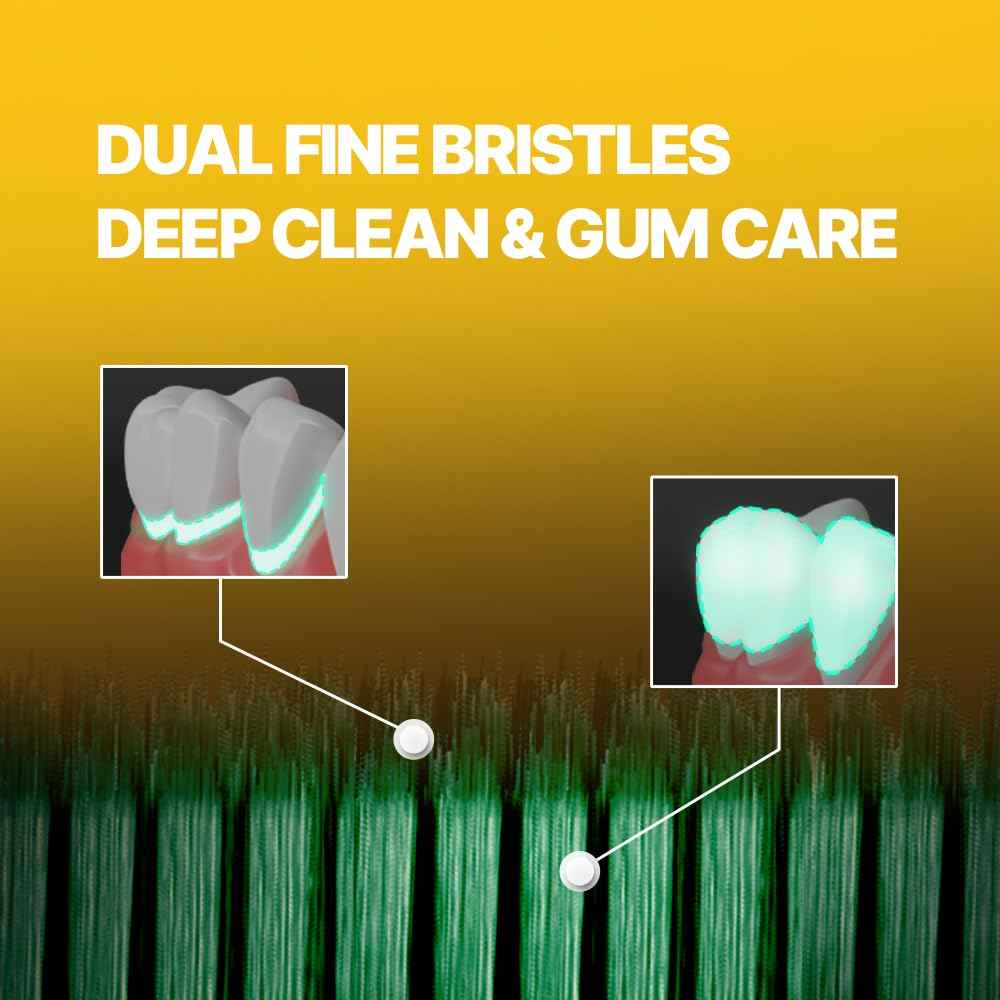 WANGTA Mini Basic – Large Toothbrush – 1.4 inch (3.5 cm) Head | 3,200 Bristles for Deep Cleaning & Gum Care | Made in Korea Premium Oral Care (10 Pack)