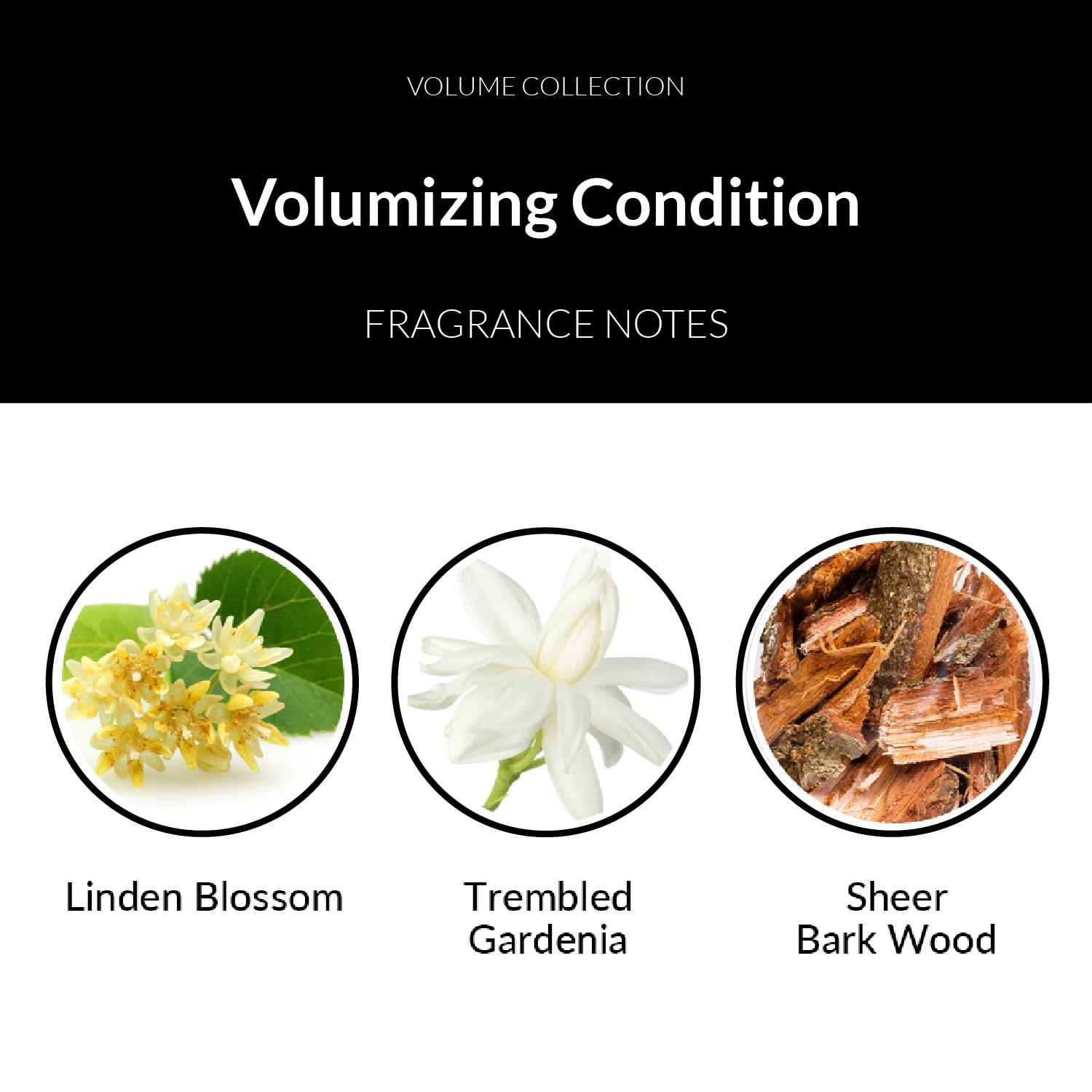 Number 4 Hair Conditioner, Volumizing Conditioner, Volumizing Condition, 8.5 oz