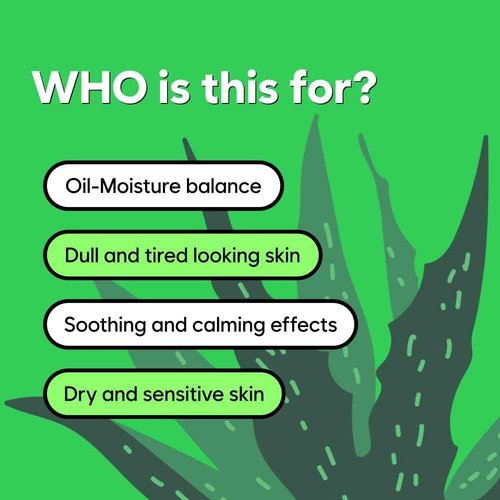 ChungMiJung Alkalescent Aloe Cleansing Foam, Deep Cleansing Foam, Blackhead Remover,Mildly Alkaline, Potassium Cocoate, All Skin Types, Korean Skin Care 6.7 fl.oz / 200ml