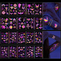 Glow in the Dark Temporary Tattoos - 20 Sheets, 200+ Styles