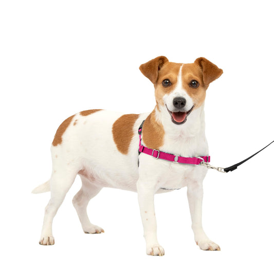 PetSafe Easy Walk No-Pull Dog Harness - The Ultimate Harness to Help Stop Pulling - Take Control & Teach Better Leash Manners - Helps Prevent Pets Pulling on Walks, Small, Raspberry/Gray