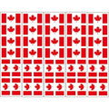 40 Tattoos: Canada Flag, Canadian Party Favors