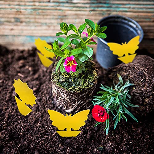 Mosqueda 36 Pack Yellow Sticky Fruit Fly & Gnat Traps for Indoor & Outdoor Plants