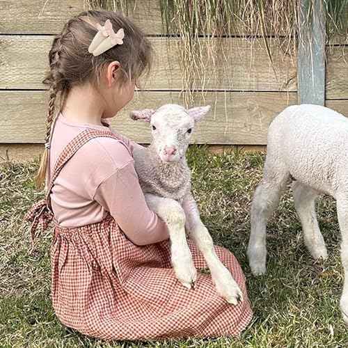 Fancy Clouds 20 Pack Baby Hair Clips for Girls Toddler,Neutral Fabric Snap Clips Pins With Embroidery Daisy Flower Butterfly,Handmade Hair Accessories Barrettes for School Age Kids Children Gifts