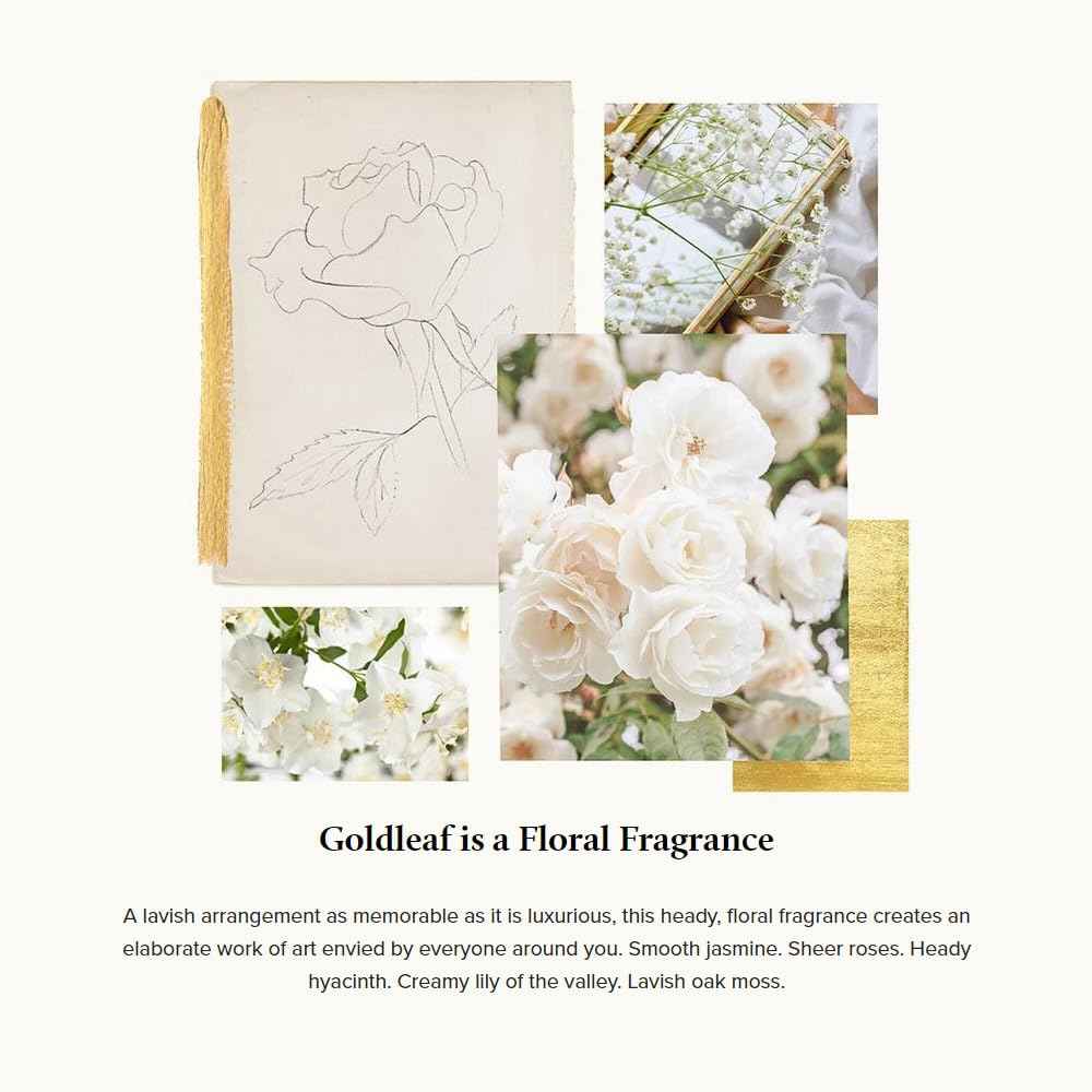 Thymes Goldleaf Perfumed Body Crème - Moisturizing Body Cream - Shea Butter Body Lotion with Vitamin E, jojoba Oil, and Honey for Skin Care Routine - Body and Hand Lotion for Women & Men (9.25 fl oz)