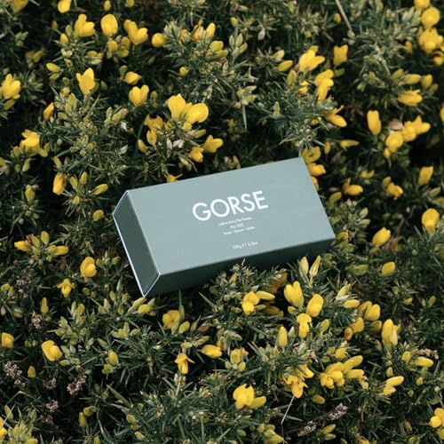 Laboratory Perfumes Gorse Soap Bar | Infused with Gorse Fragrance | Enriched with Shea Butter & Jojoba Oil | Palm Oil-Free, Plastic-Free & Skin-Kind (150g)