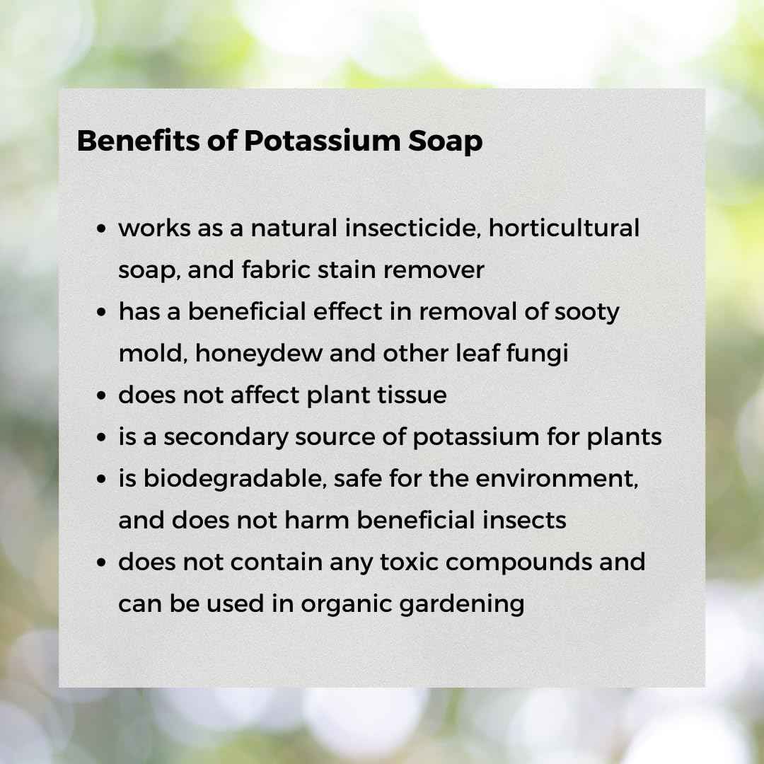 Ecoworm Organic Potassium Soap Concentrate – Plant-Based Horticultural Formula | Natural Potassium Soap for Plants & Garden Care | Concentrated Organic Soap for Dilution (34 fl oz)
