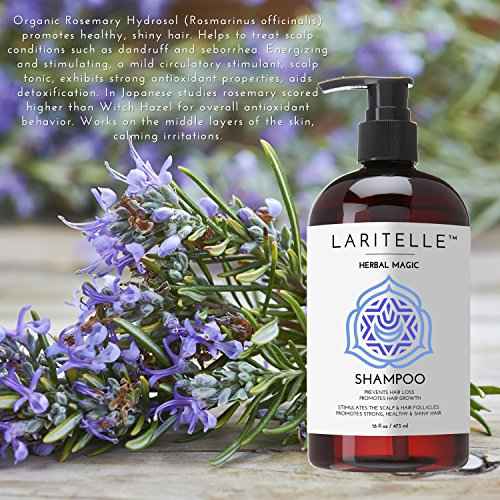 Laritelle Organic Unscented Shampoo | Hair Strengthening & Clarifying | Hypoallergenic, Sulfate-Free | With Rosemary & Saw Palmetto