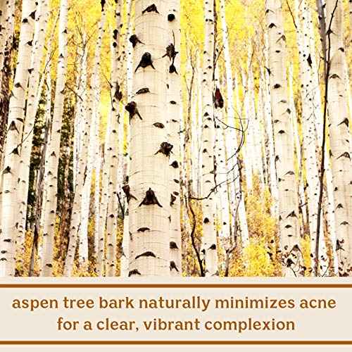 Solluna by Kimberly Snyder Hydrating Anti-Aging Facial Cleanser ? Soothing pH Balanced Gentle Face Wash ? Moisturizing Natural Oils & Plant Botanicals (4oz) Cruelty-Free, Non-Toxic, Vegan & Non-GMO