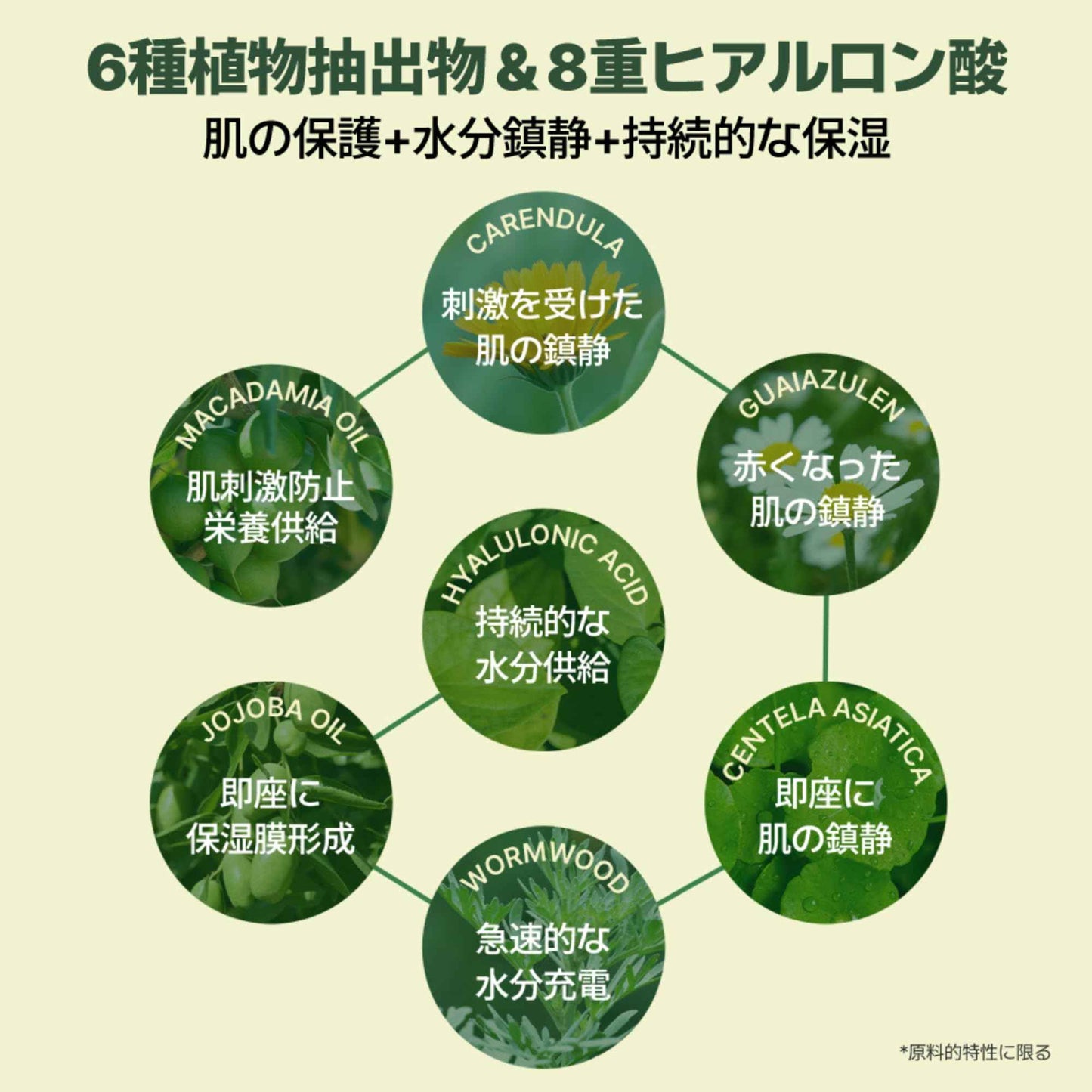 Neogen DERMALOGY Real HEARTLEAF Soothing Essence 150ml / 5.07 Fl.oz