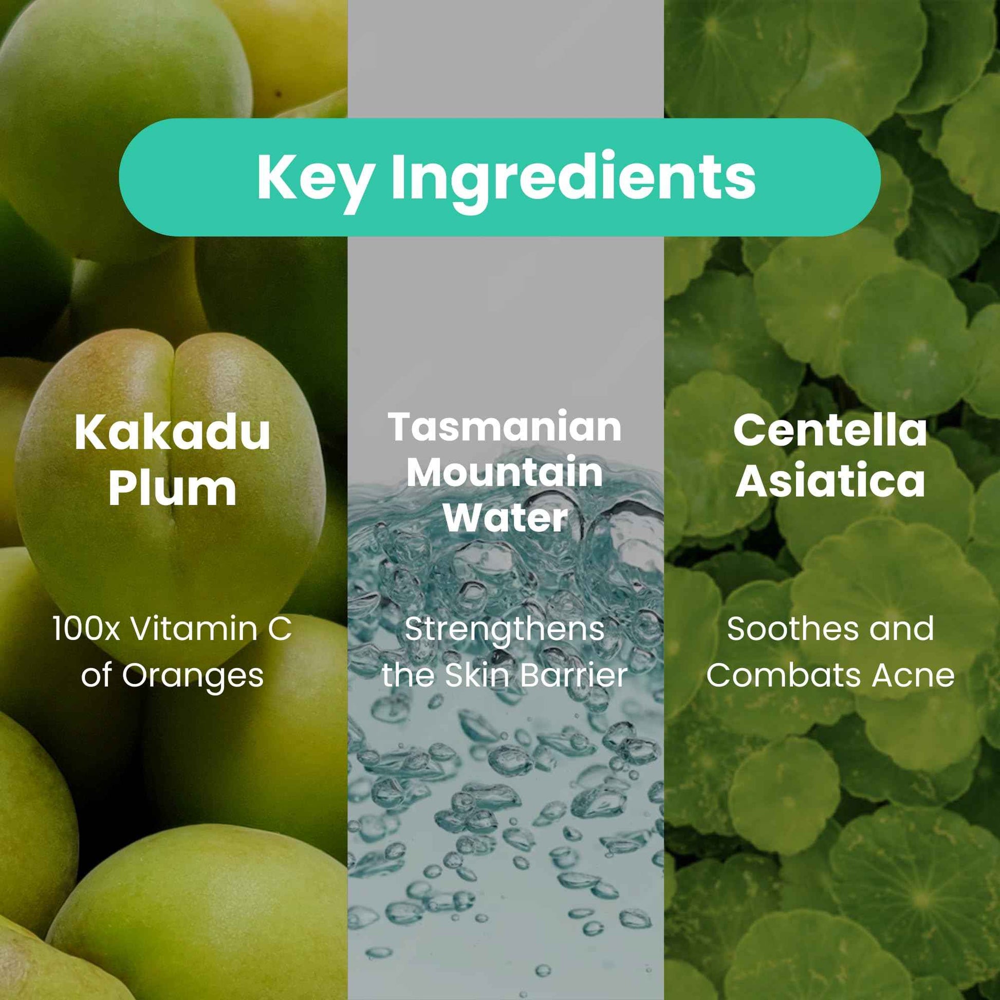 Feat by You - ViTassie CICA Refreshing Gel Cream (2.7 FL OZ) Face Moisturizer for Dry Skin, Acne-Prone, Sensitive Skin with Vitamin C, Centella Asiatica, Niacinamide, Hydrating, Soothing, Korean Made