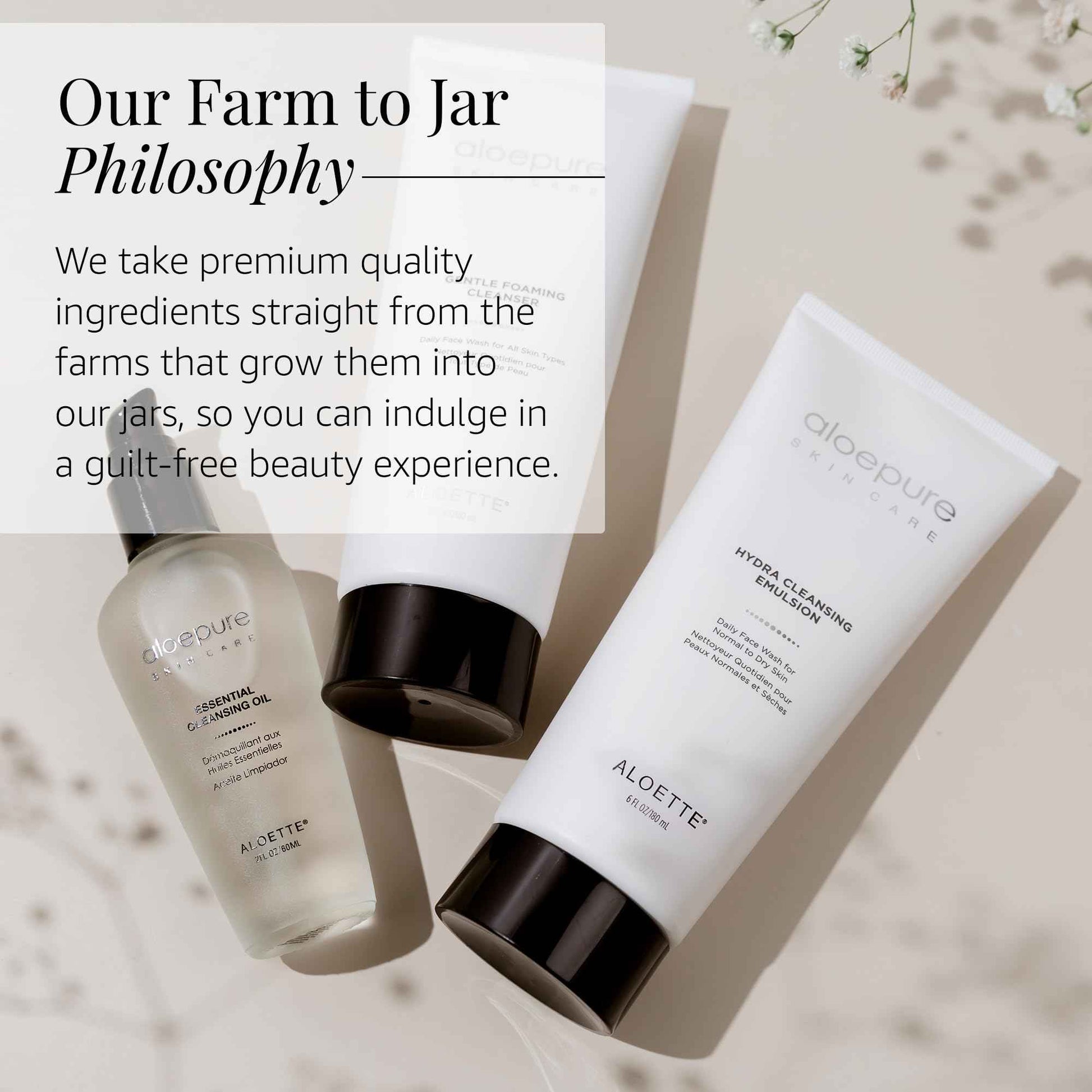 Aloette Gentle Foaming Facial Cleanser - Moisturizing Face Wash for Women & Men - Facewash Skin Cleanser Rejuvenates & Replenishes Natural Moisture, Facial Cleansing for All Skin Types - 6 Fl Oz