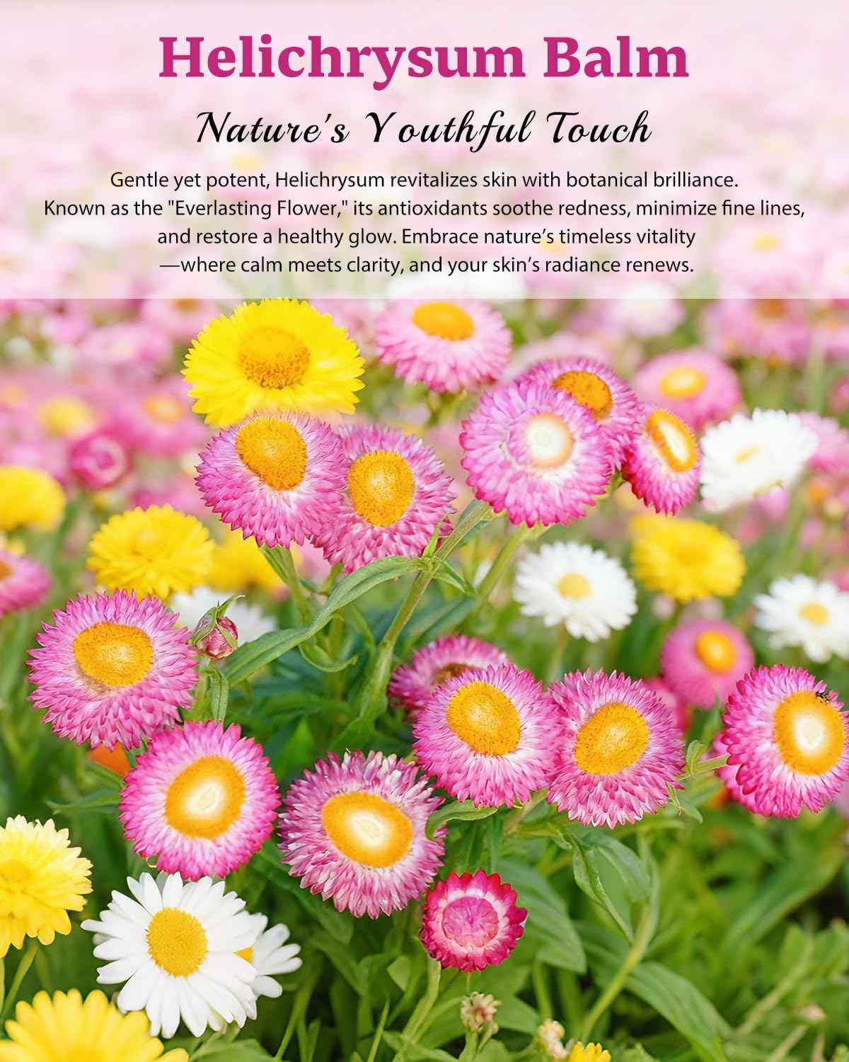 XUEBEIK Helichrysum Multipurpose Balm - Natural Soothing Hydrating Salve with Helichrysum Oil for Thin, Fragile, B-ruised & Aging Skin | Moisturizes & Revitalizes Body & Face - 60G/2OZ