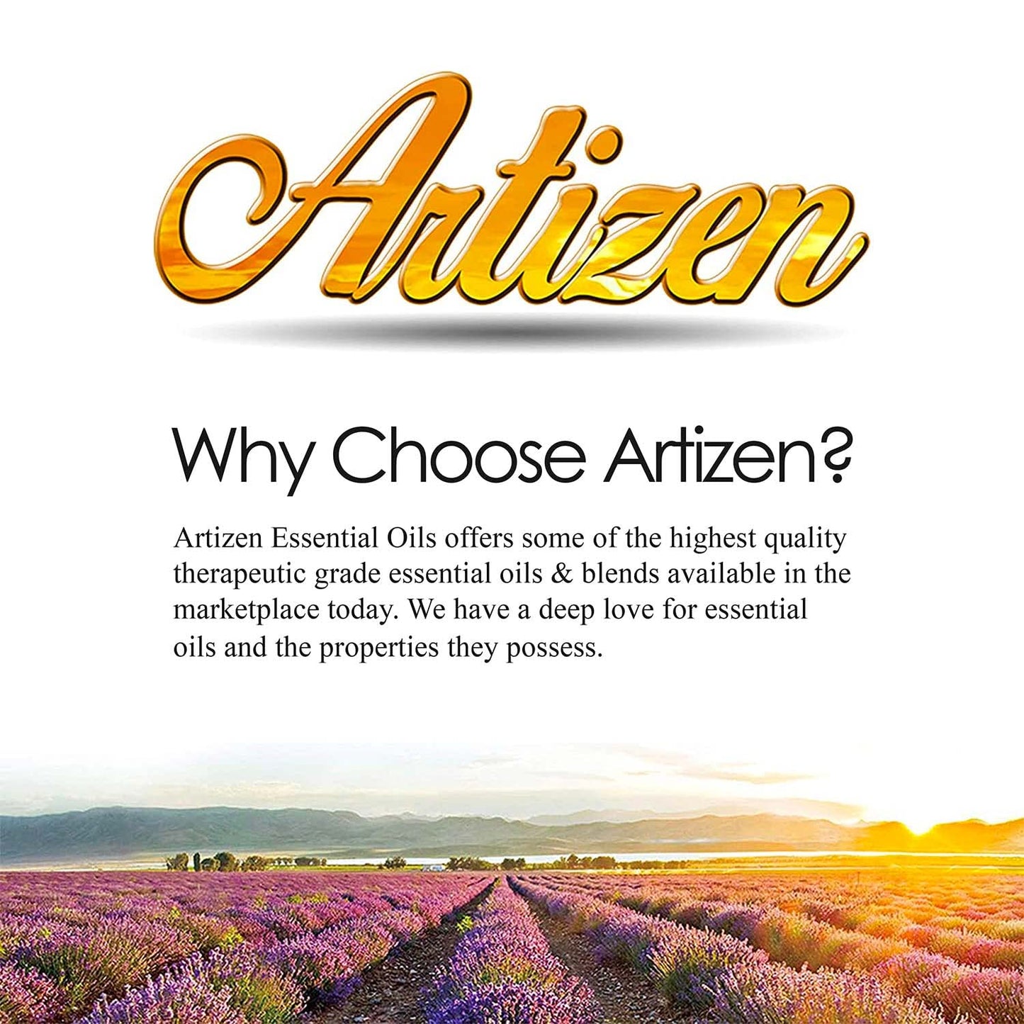 Artizen 4oz Oils - Anise Star Essential Oil - 4 Fluid Ounces