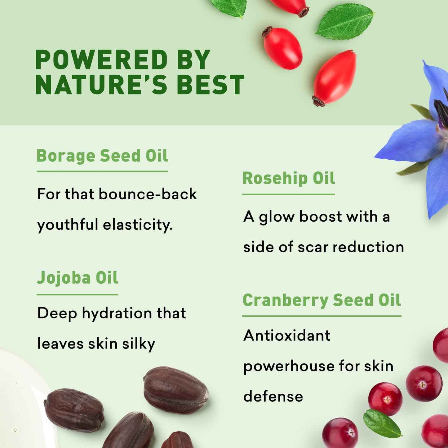 Sunless Tanning Lotion | Anti-Aging Self-Tanner | Body Tanning | Sun Kiss Glow Bronze Finish | Bronzer Lotion For All Skin Types | Just Nutritive | 8 Oz