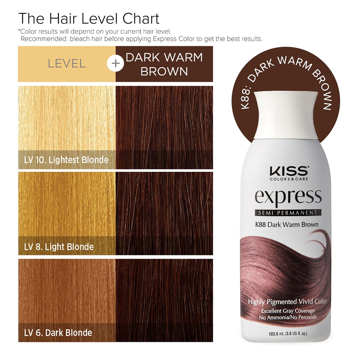 Kiss Express Semi-Permanent Hair Color 100mL (3.5 US fl.oz) (1 PACK, Dark Warm Brown)