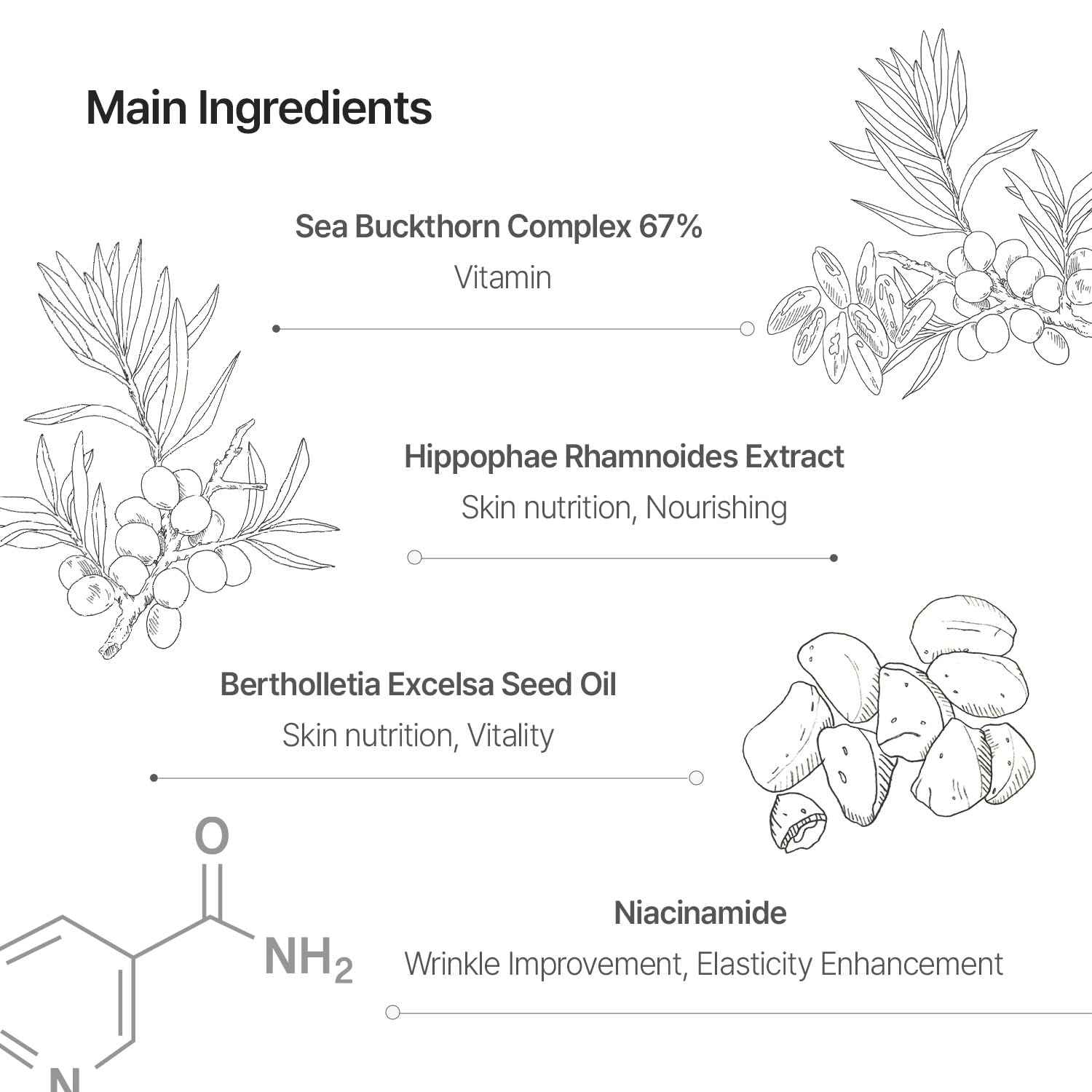 SONREVE Signature Balance Serum – Hydrating Vitamin C & Niacinamide 2% Facial Treatment, Korean Skincare 1.69 fl oz