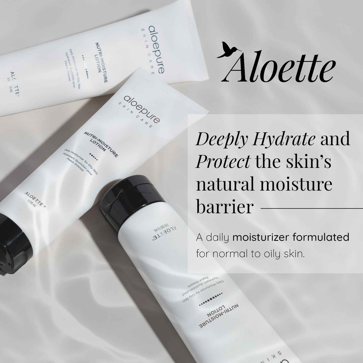 Aloette Facial Moisturizer for Oily & Irritable Skin, Nutri Moisture Lotion - Lightweight Daily Moisturizer for Uneven Skin Tone, Breakouts & Acne - Moisturizing, Hydrating & Soothing Face Cream