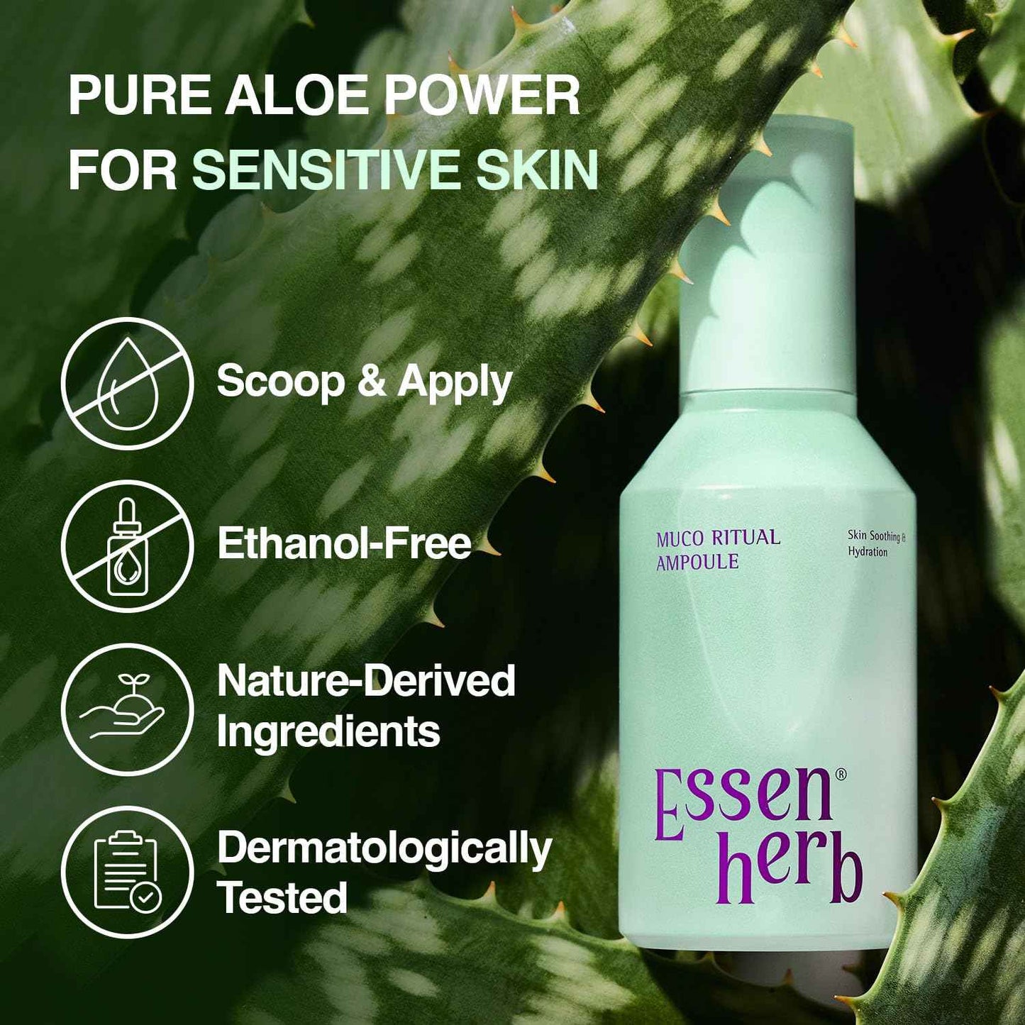 ESSENHERB Aloe Serum (Muco Ritual Ampoule) – Korean Vegan Facial Essence with 95% Aloe Polysaccharides – Lightweight Hydration for Dry & Visibly Stressed Skin – 4.05 fl oz (120ml)