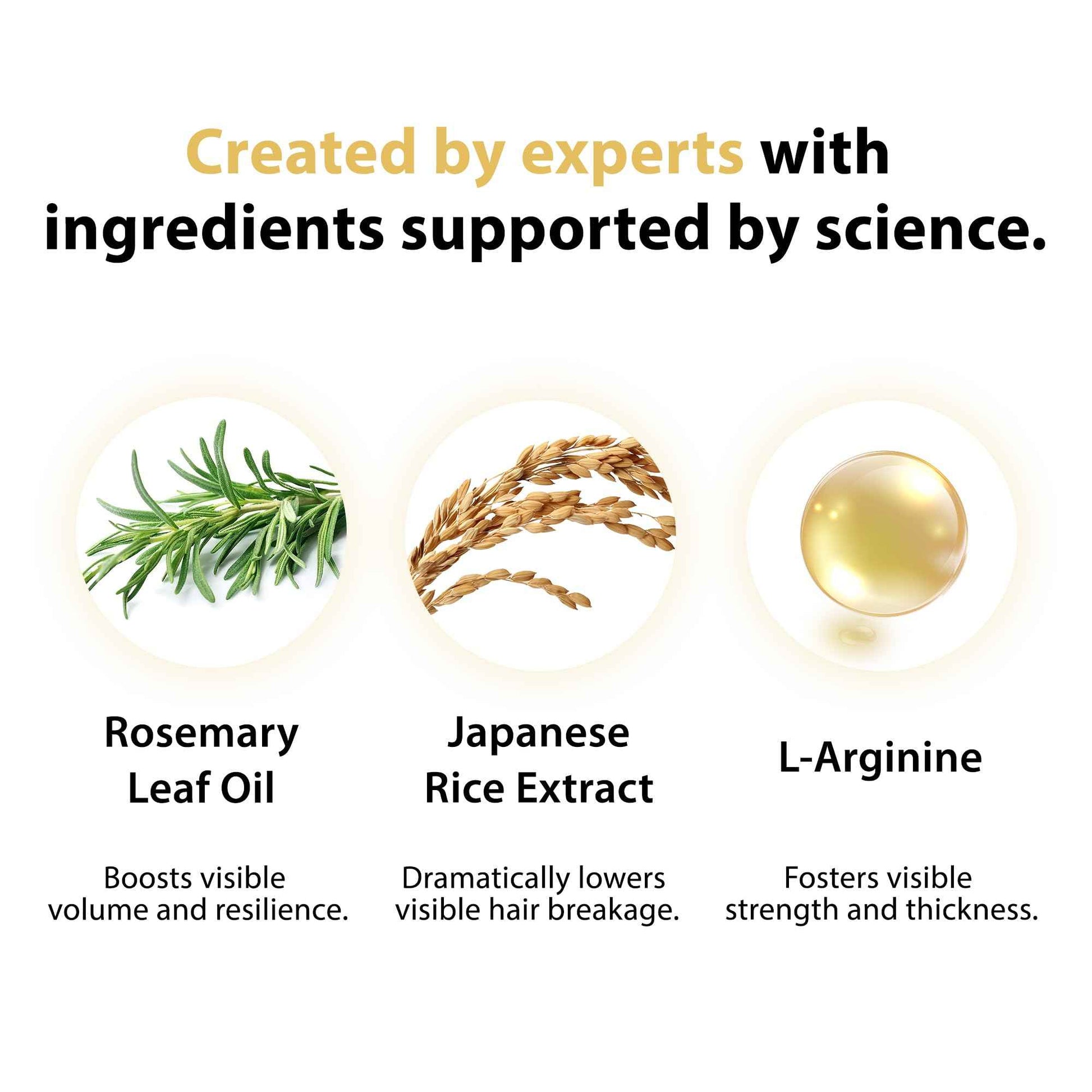 ETADERM Advanced Hair Growth Serum - Hair Growth Oil with Aloe Vera Biotin, Caffeine & Keratin - Hair Oils Stimulates Growth, Moisturizes & Conditions Scalp - Hair Serum for Thicker Fuller Hair 60ml