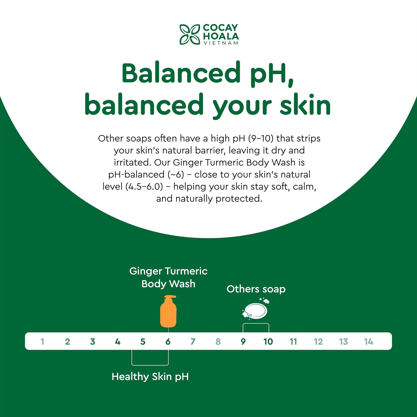 Vietnam's Touch | COCAY HOALA Ginger Turmeric Exfoliating Body Wash – Gentle Body Wash Sensitive Skin – Moisturizing & Nourishing Daily Shower Gel – Paraben & Silicone Free (17.64 oz)