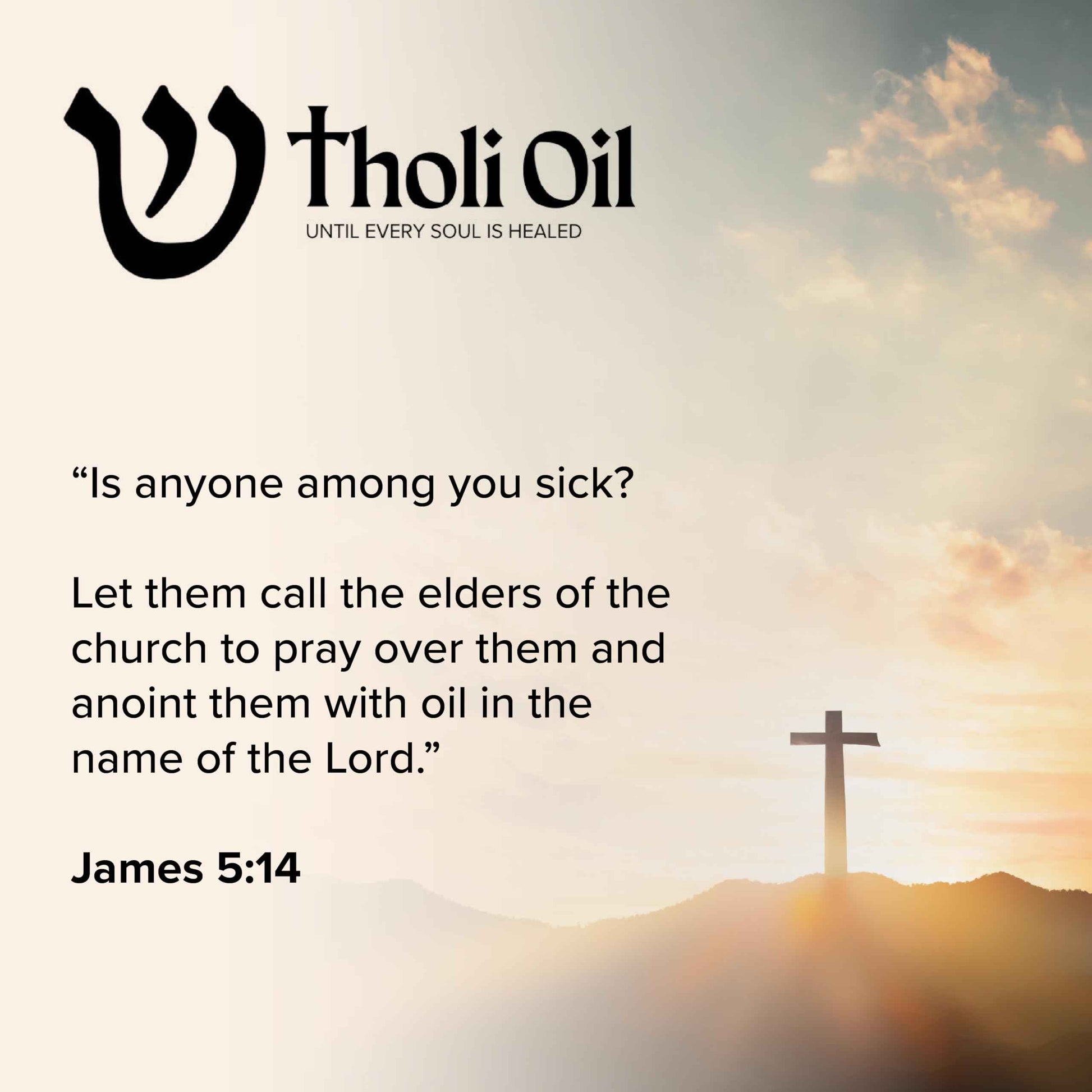 Tholi Oil Balm of Gilead Skin Repair Salve – Fast-Acting Natural Formula Soothes, Restores & Protects Dry, Damaged Skin – With Poplar Buds, Beeswax, Cocoa Butter