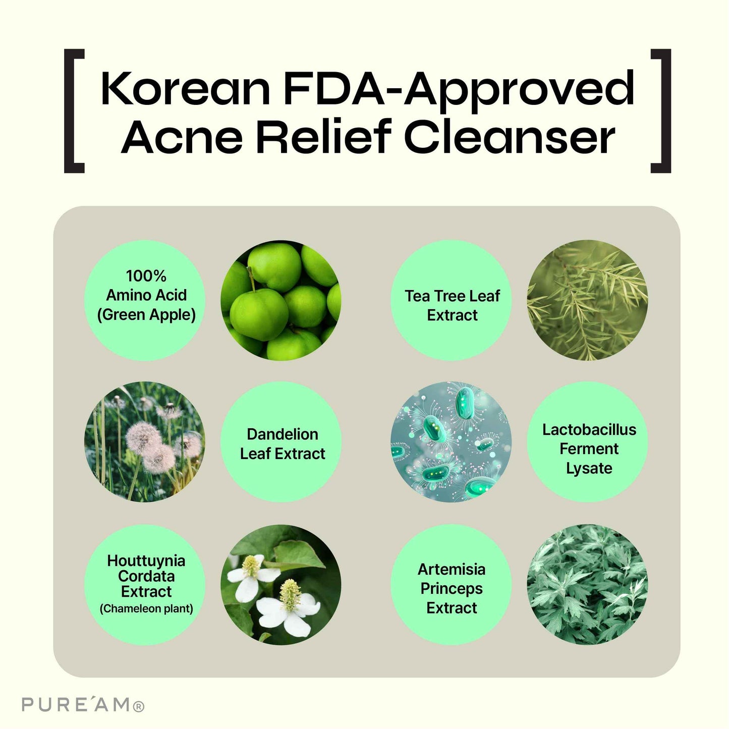 PURE'AM - Gentle Face Wash with Amino Acids, Salicylic Acid - 4.05 Fl.oz, 120ml - Korean Face Cleanser - Clarifying, Foaming, Deep Pore Cleaning, pH Balancing, Oil Control - Authentic Korean Skin Care