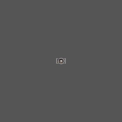Diane Ceramic Straightening Brush with Nylon Bristles for Smoothing and Styling Thick Coarse Hair, Double-Sided Hair Straightener Brush, 2-in-1 Smoothing Hair Brush, Gently Removes Tangles