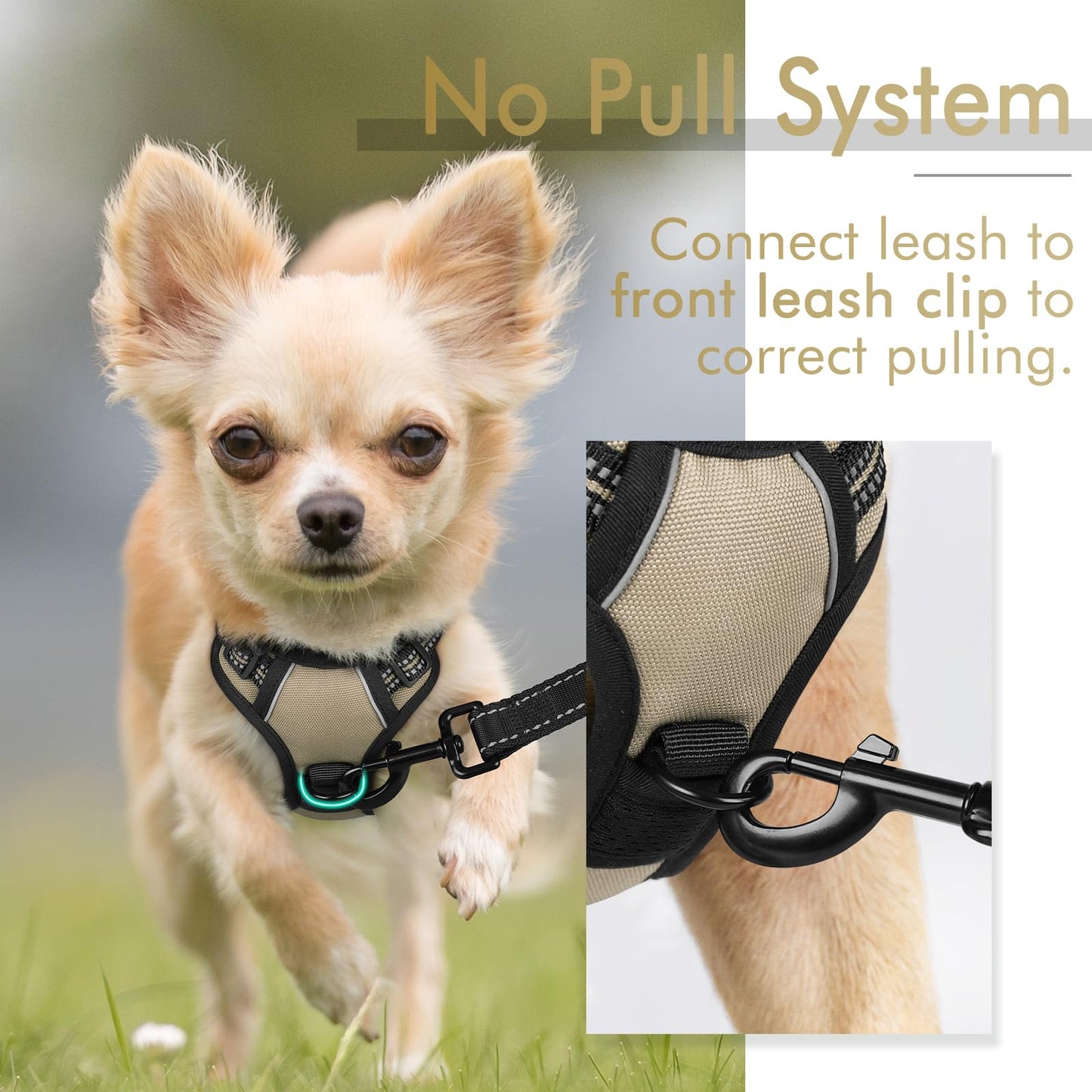 rabbitgoo Dog Harness, No-Pull Pet Harness with 2 Leash Clips, Adjustable Soft Padded Dog Vest, Reflective No-Choke Pet Oxford Vest with Easy Control Handle for Small Dogs, Beige, XS